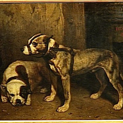Bull and Terrier