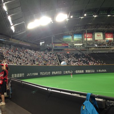 Hokkaido Nippon-Ham Fighters