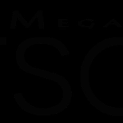 Shin Megami Tensei: Persona logo