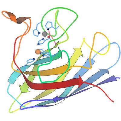 Superoxide dismutase