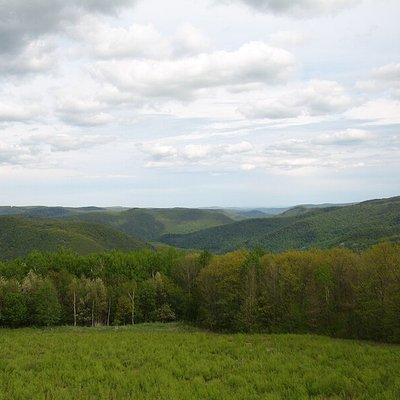 The Berkshires