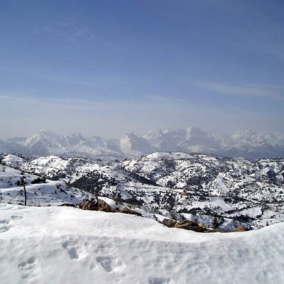 Djurdjura
