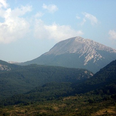 Pollino