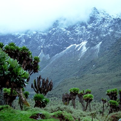 Rwenzori Mountains