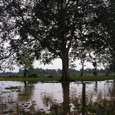 Batang Hari River