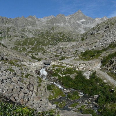 Sarca