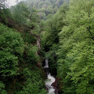 Saja (river)
