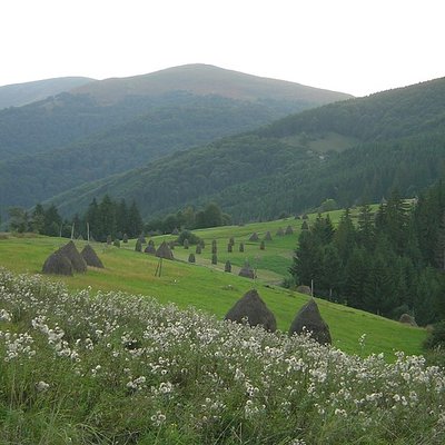 Beskids