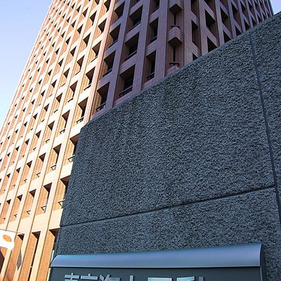 Tokio Marine Nichido