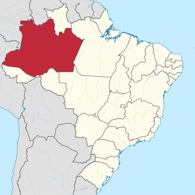 Amazonas (Brazilian state) logo