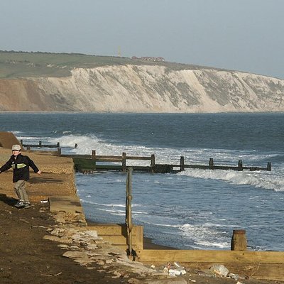 Downland logo