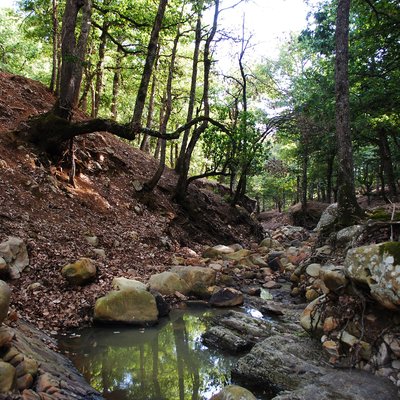 Siroko