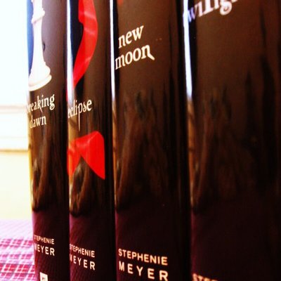New Moon (novel)