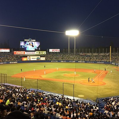 Tokyo Yakult Swallows
