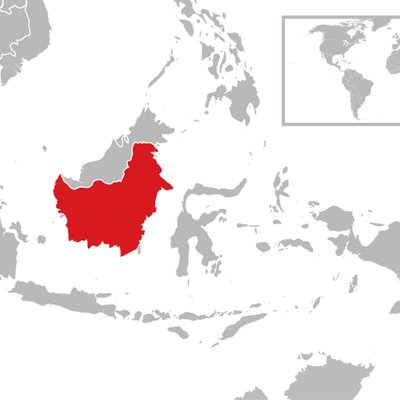 Kalimantan logo