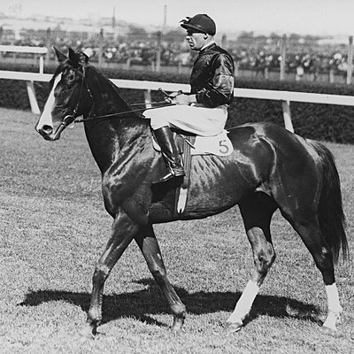 Cox Plate