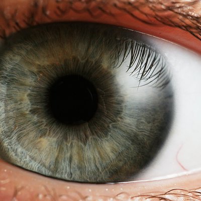 Pupil (band)