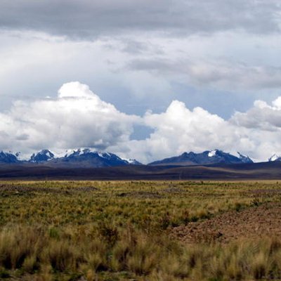 Altiplano logo