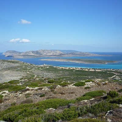 Asinara