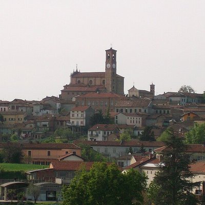 Grana (cheese)