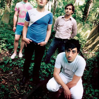 Grizzly Bear (band)
