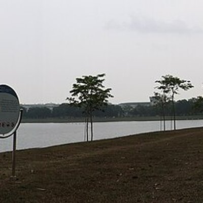 Bedok logo