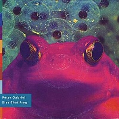 KissNoFrog