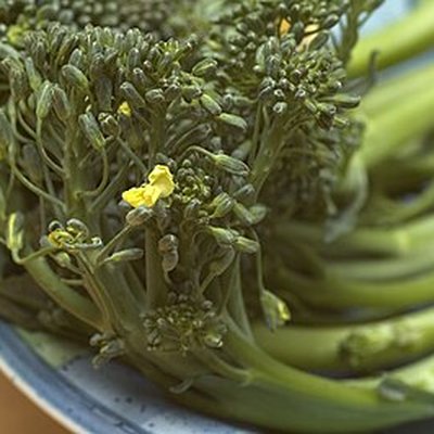 Broccolini
