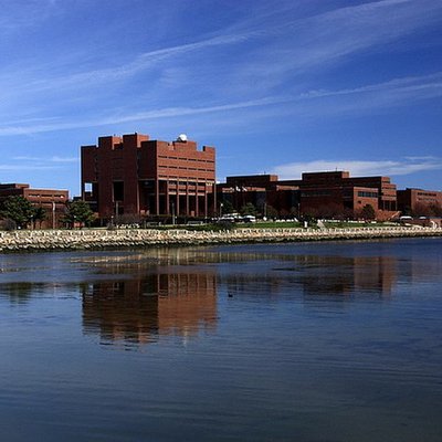 University of Massachusetts Boston logo