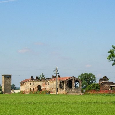 Ca' del Bosco