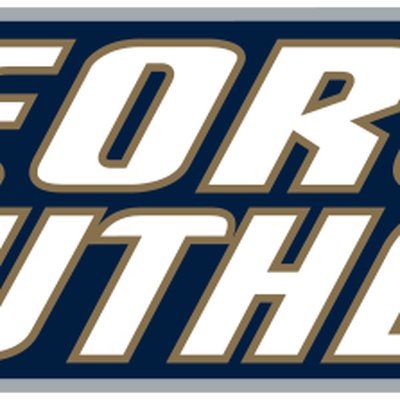 Georgia Southern Eagles football logo