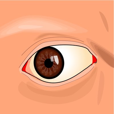 Eyelashes Regrow logo