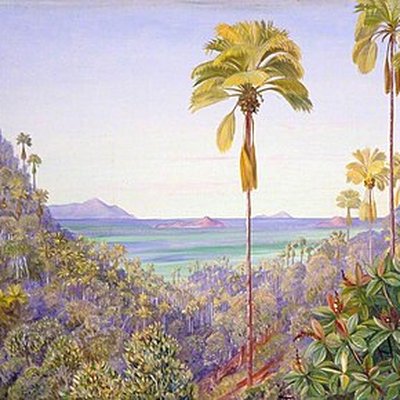 Coco de Mer