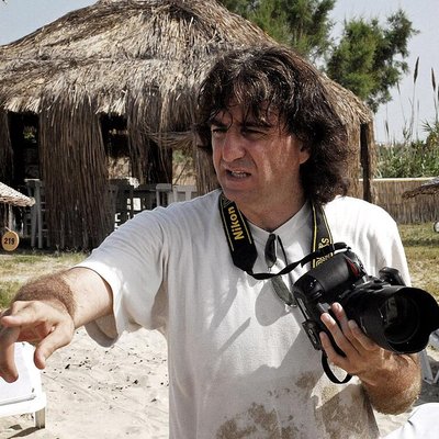 Niko Guido