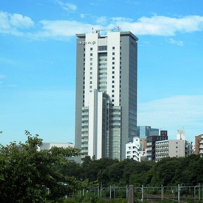 Hosei University
