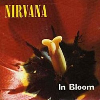 BloomThat