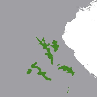 Phu Thai language