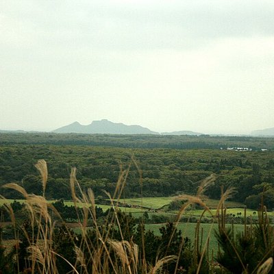 Jeju Province