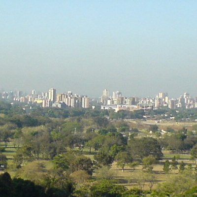 Maracay logo