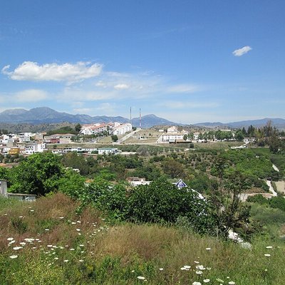 Coín logo
