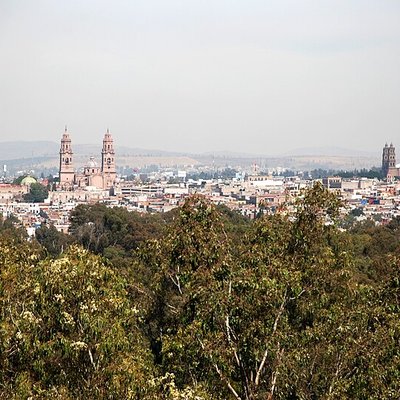 Morelia logo