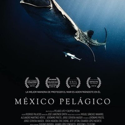 México Pelágico