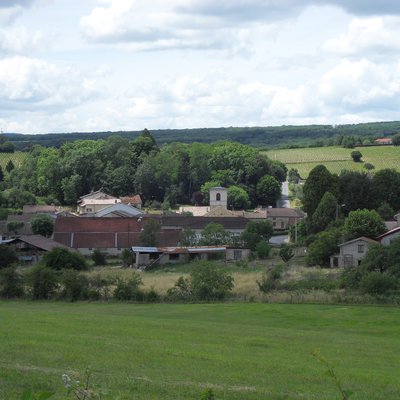 Chardonnay, Saône-et-Loire