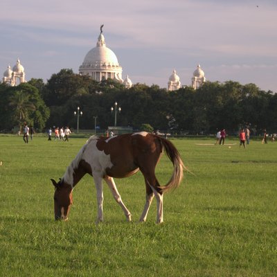 Maidan (Kolkata)