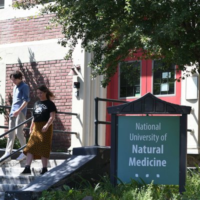 National College of Natural Medicine logo
