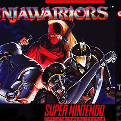 Ninja Warriors