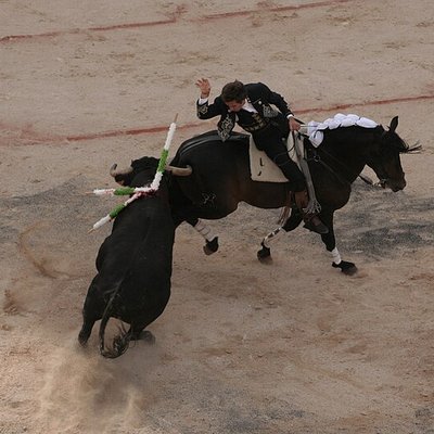 Pablo Hermoso de Mendoza