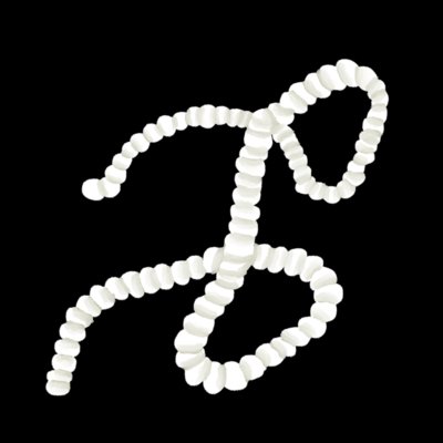 Plexus logo