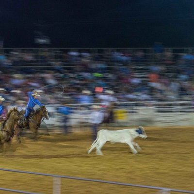 Steer roping logo