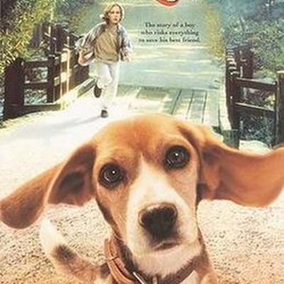 Shiloh (film) logo